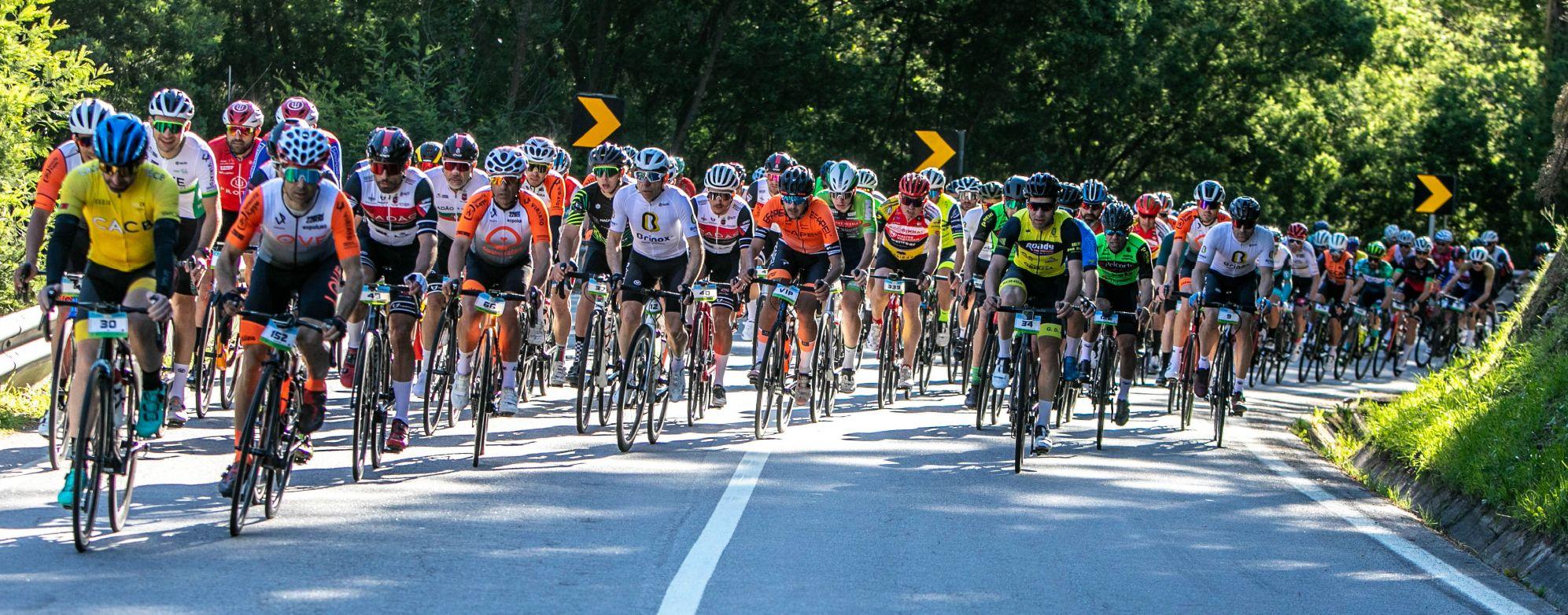 pc AmaranteGF-100.jpg